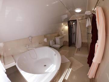 Фото номера Улучшенный люкс Загородные дома Villa Rose г. Teterivka 5