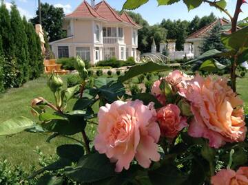 Фото Загородные дома Villa Rose г. Teterivka 3