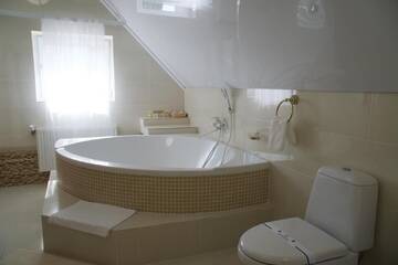Фото номера Улучшенный люкс Загородные дома Villa Rose г. Teterivka 16